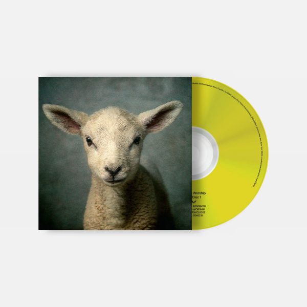 lioncd-store_2048x2048